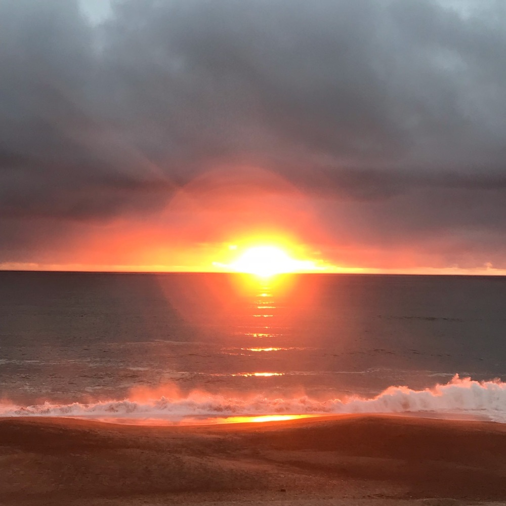 Meet your Posher, Tabitha